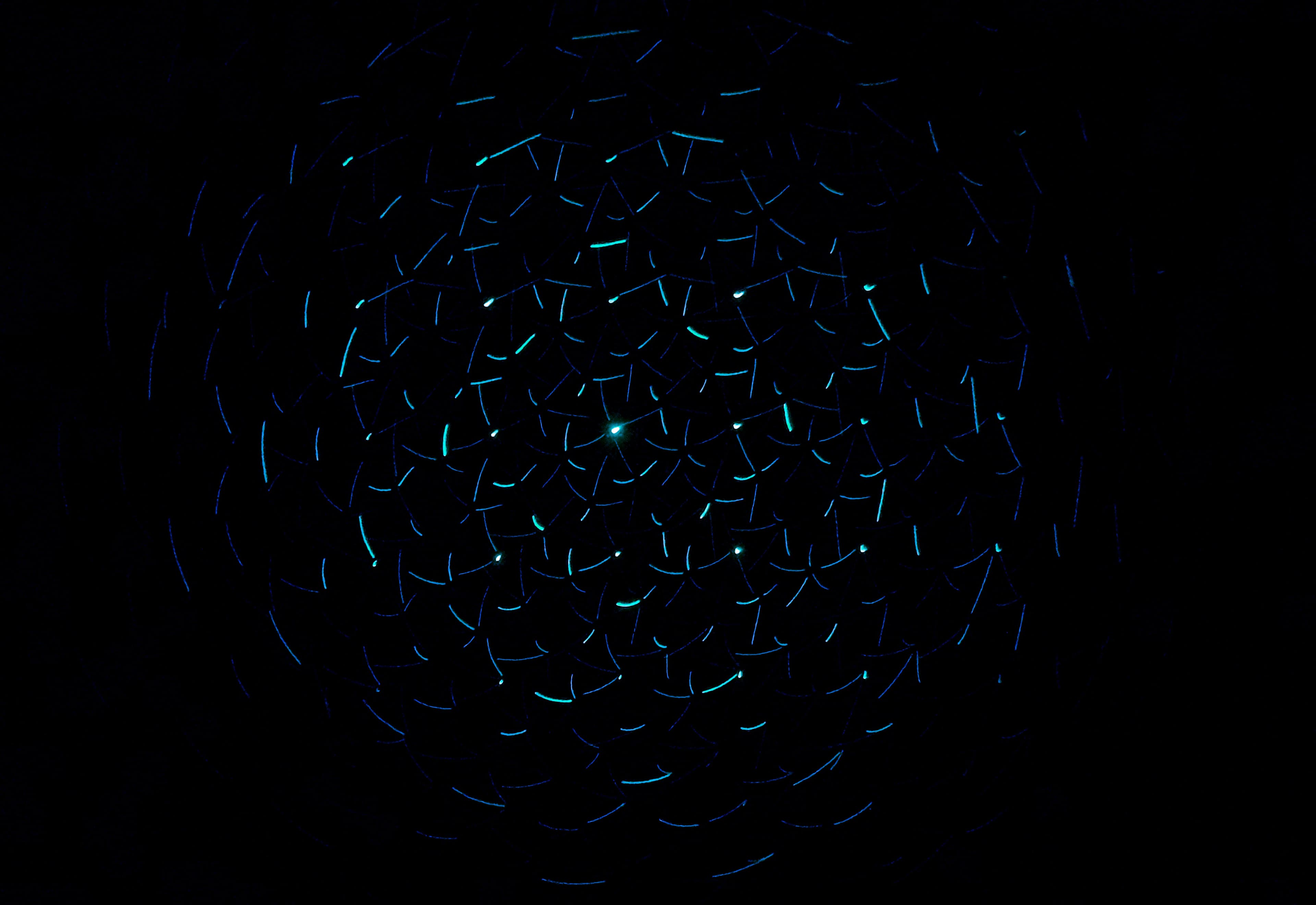 AI Boom: Data, Security, and New Rules